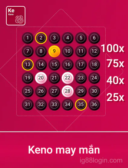 Spribe Knmayman Portrait